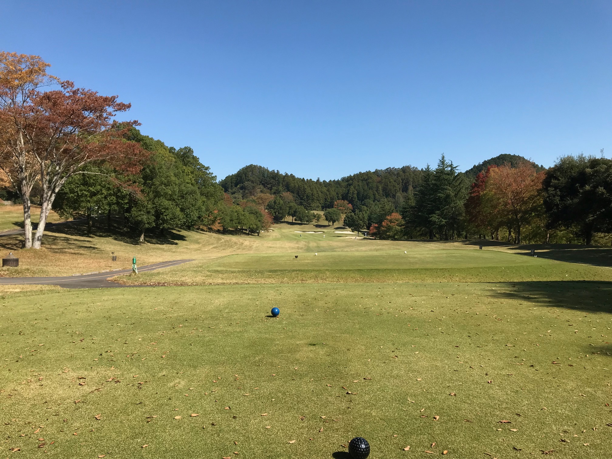 飯能パークカントリークラブ 　Hannopark CC