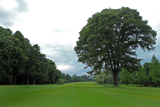 千葉夷隅ゴルフクラブ 　Chibaisumi GC