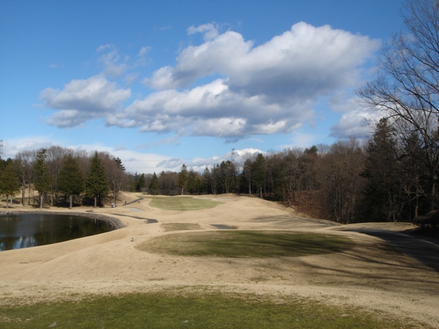 ピートダイゴルフクラブ　Petedye GC