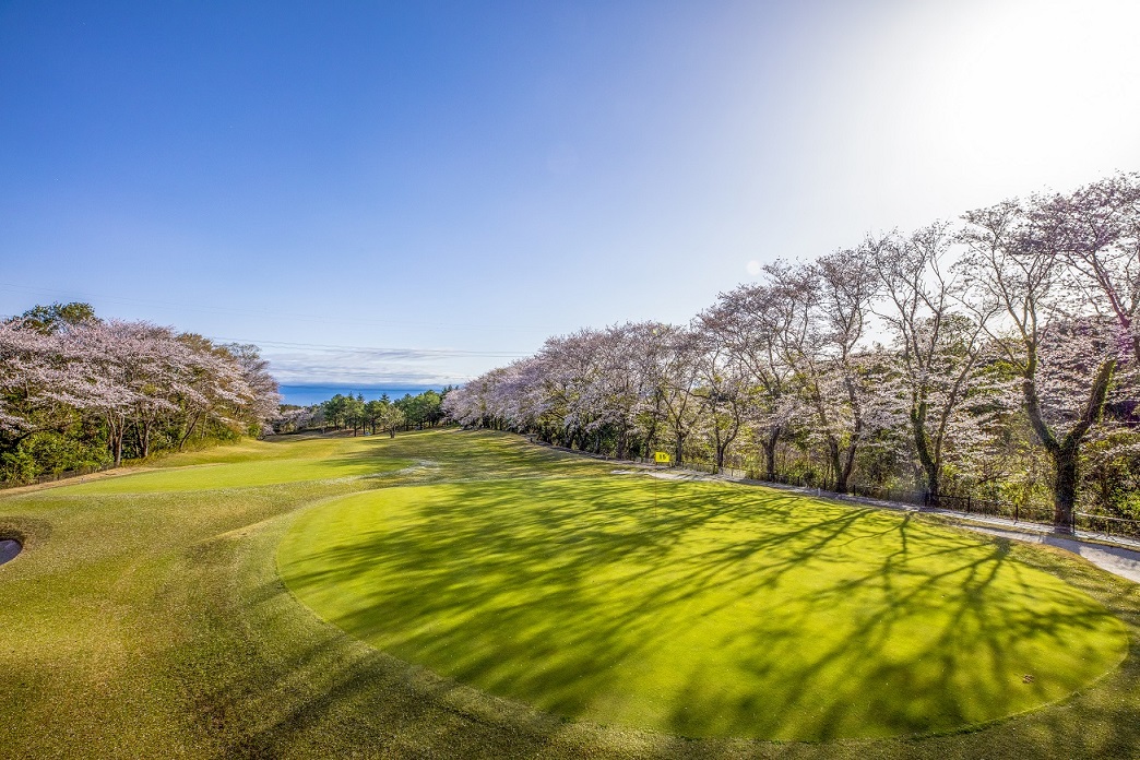 太平洋クラブ関西エリア