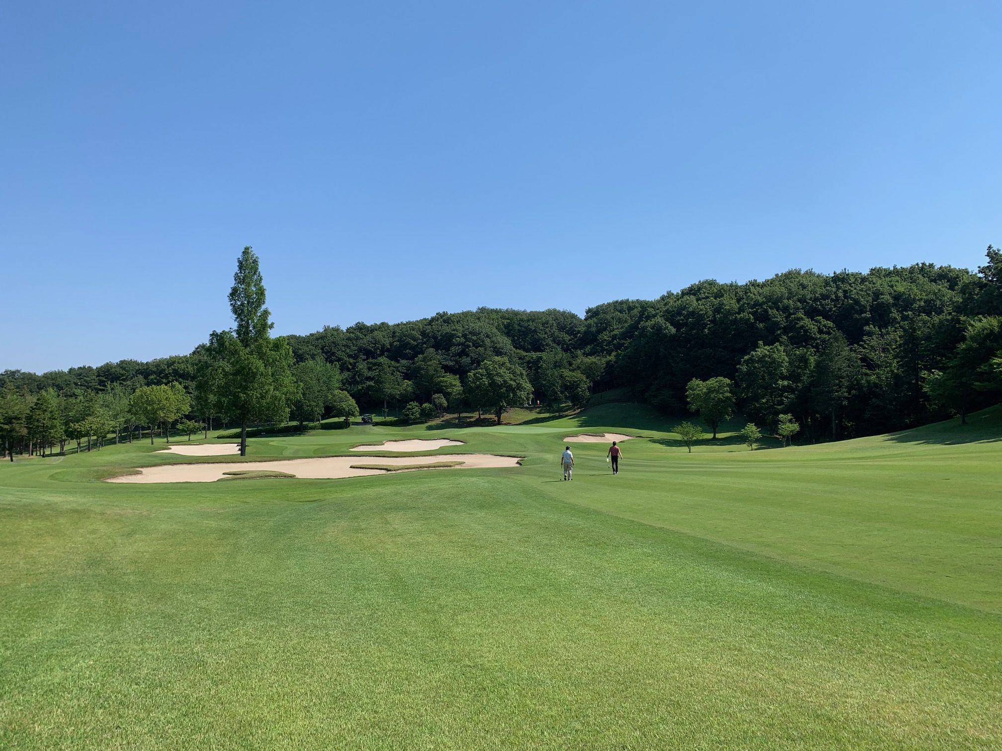 鳩山カントリークラブ　Hatoyama CC