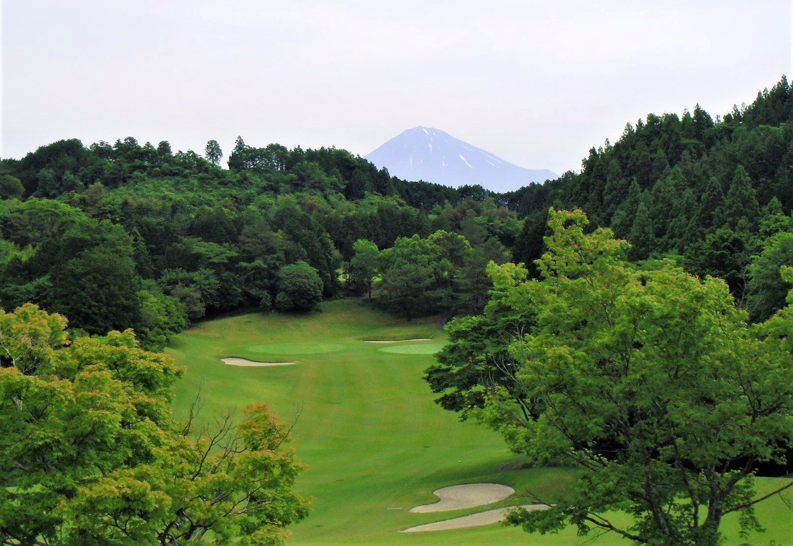 富士見ヶ丘カントリー倶楽部　 Fujimigaoka CC